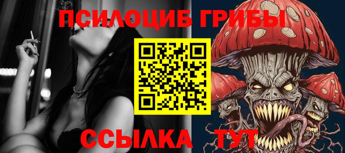 Псилоцибиновые грибы мицелий  Вход с VPN  Черногорск  Псилоцибиновые грибы ЛСД 